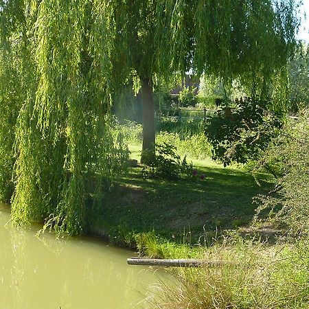 La Parenthese Villa La Couture  Buitenkant foto